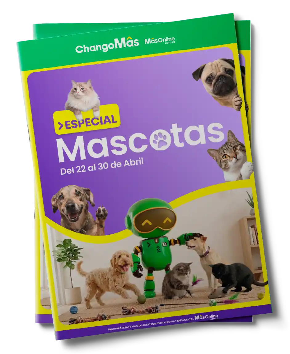 Flyer Mascotas